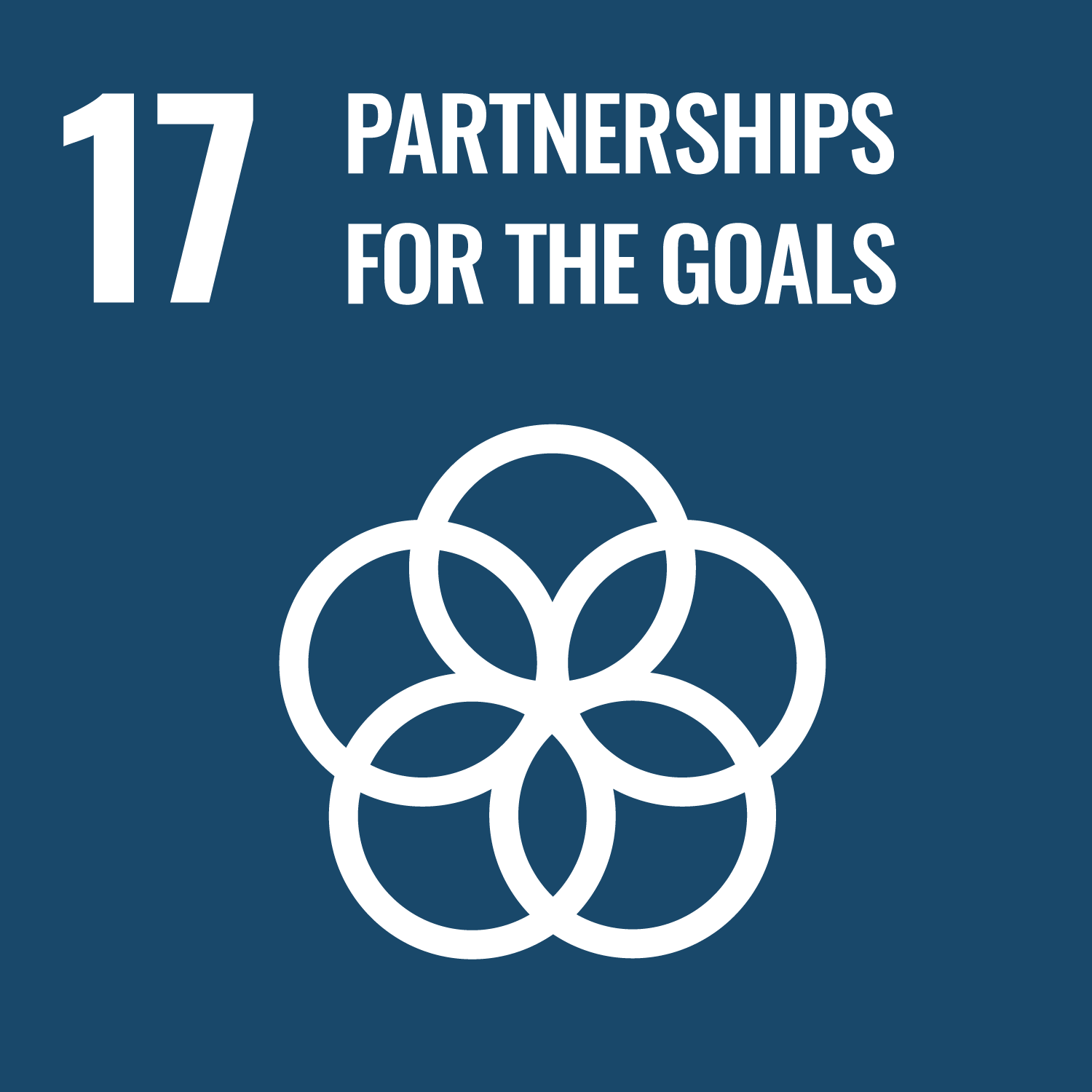 UN SDG 17 - Partnership for the Goals